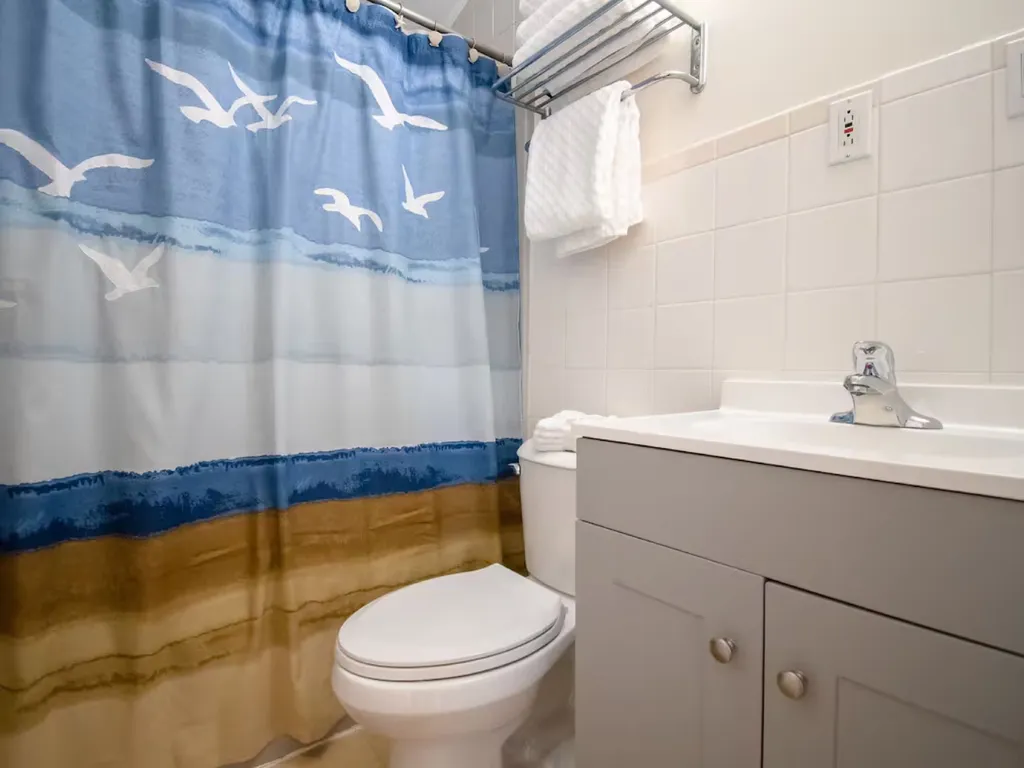 Bathroom has been updated with new toilet, vanity, light, and mirror.