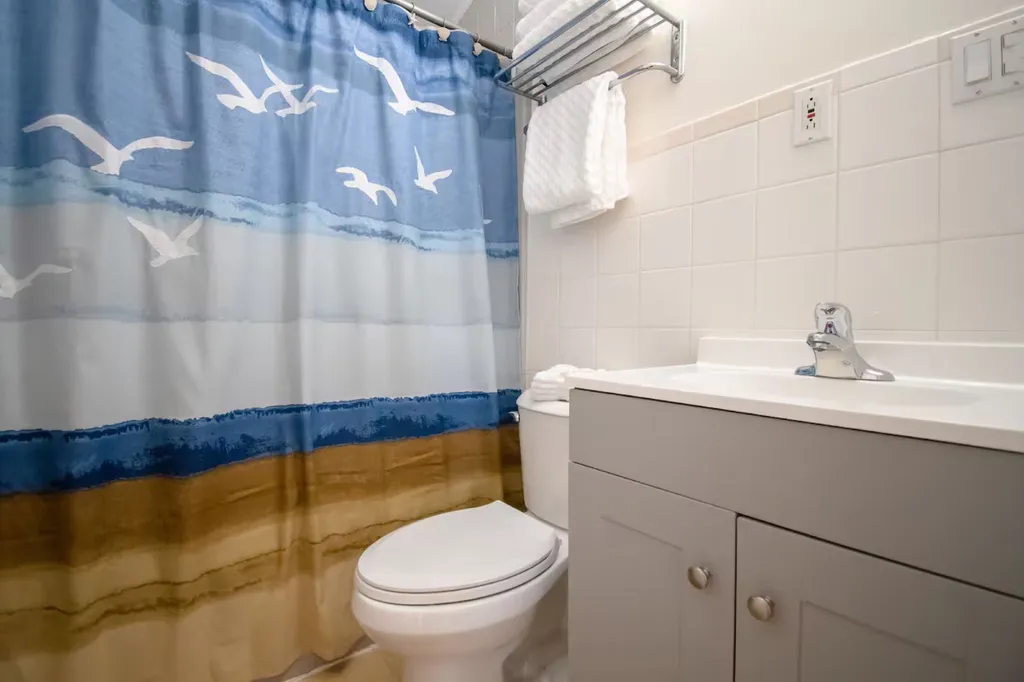 Bathroom has been updated with new toilet, vanity, light, and mirror.