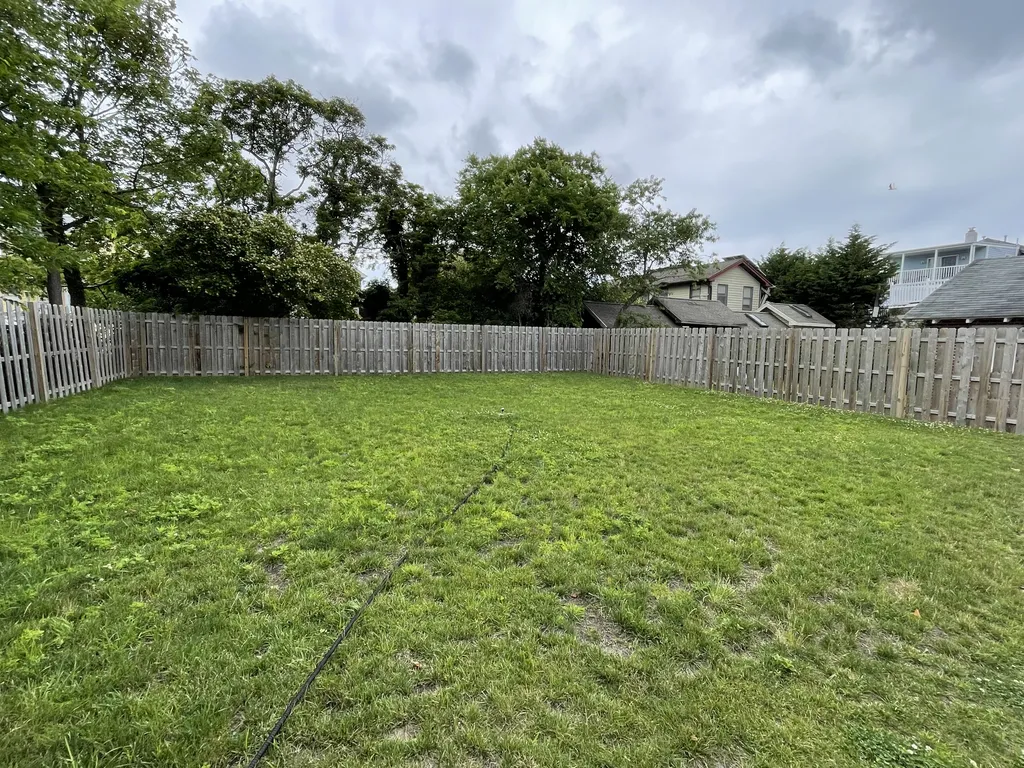 Back Yard