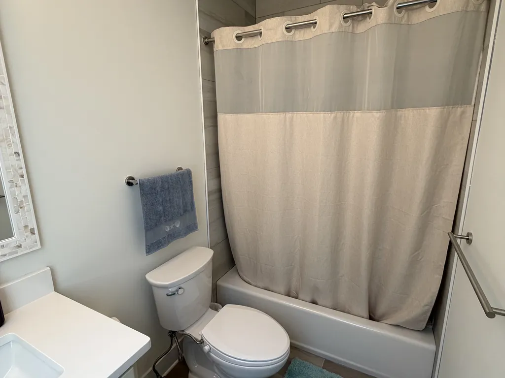 Master bathroom 2