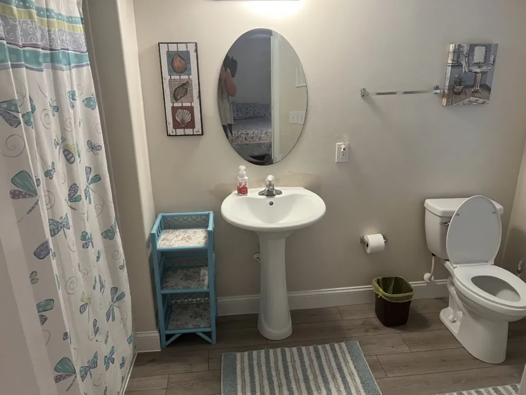 LOWER LEVEL BATHROOM