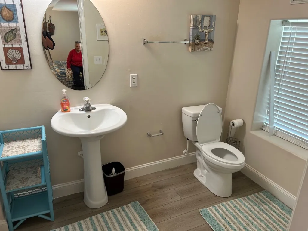 LOWER LEVEL BATHROOM