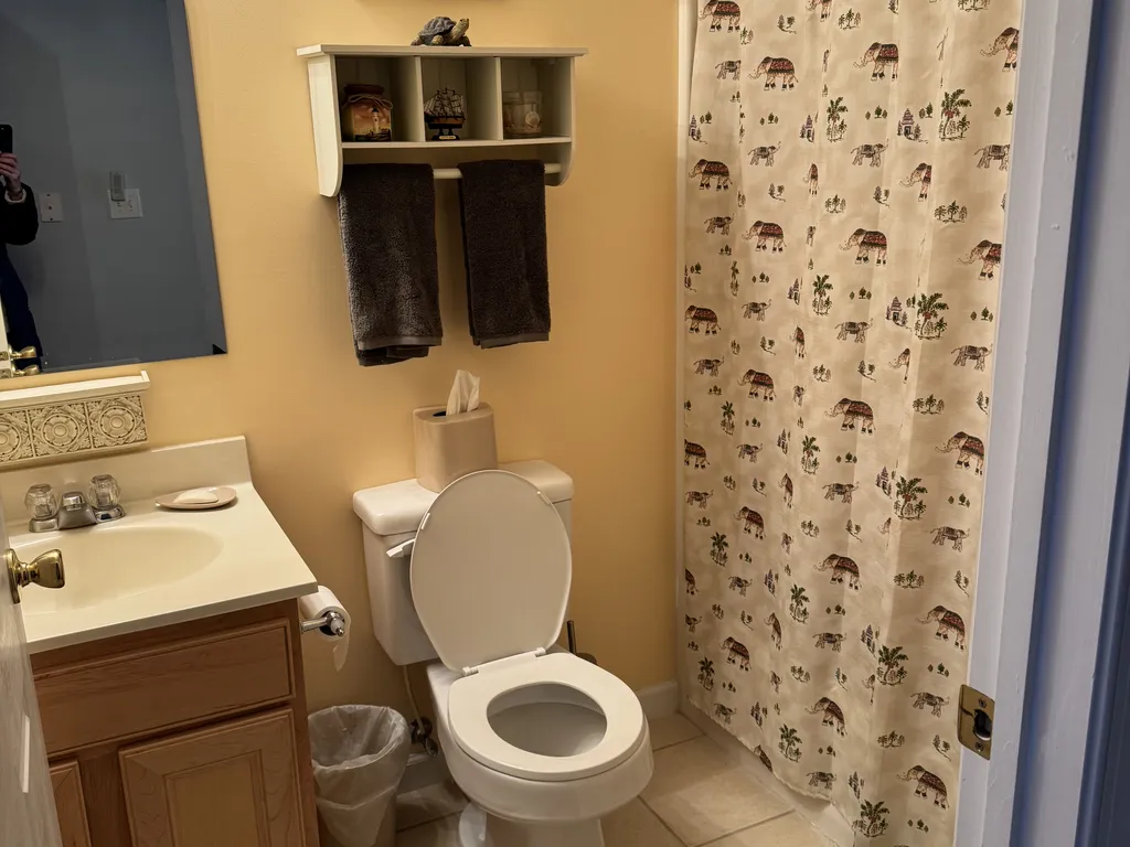 Full Hall Bathroom with Shower/Tub Combo