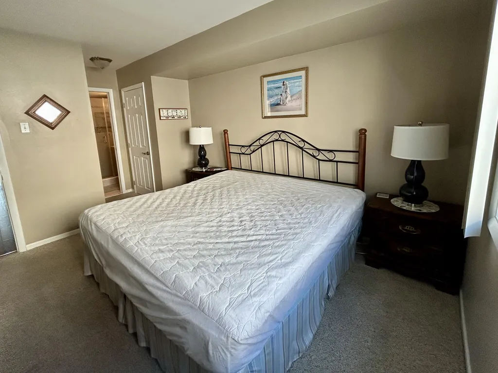 primary bedroom, king bed, TV, ensuite bathroom