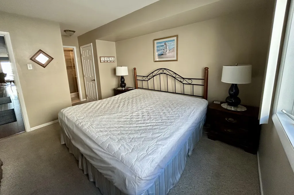 primary bedroom, king bed, TV, ensuite bathroom