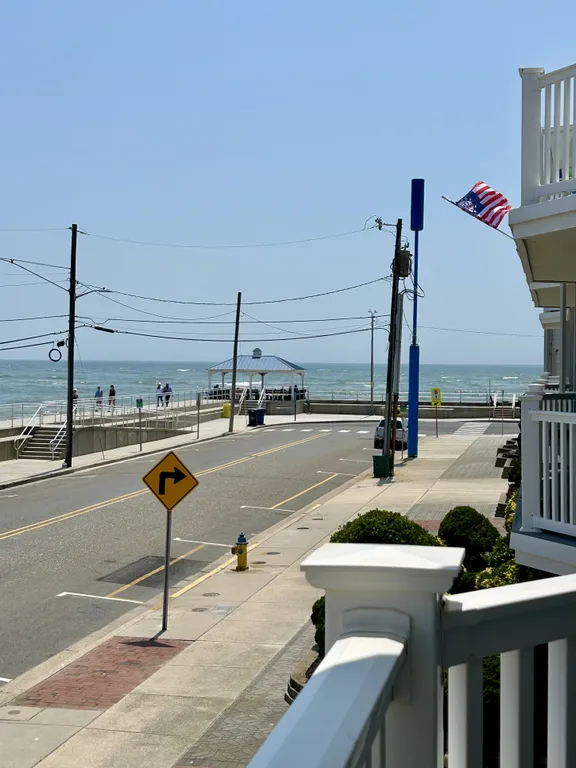 watch the dolphins from the gazebo