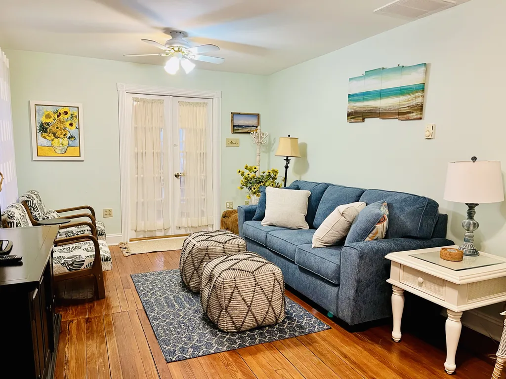 Living Room with Queen pull out couch