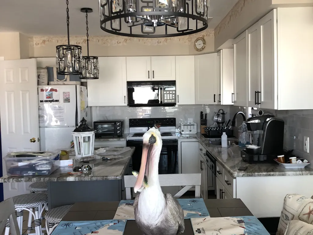 Dining Table &amp;amp; Kitchen