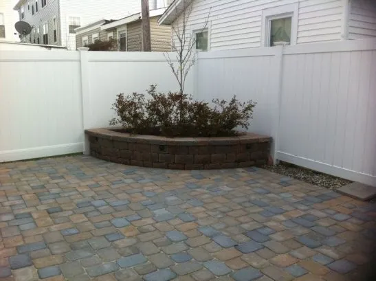 Back yard
