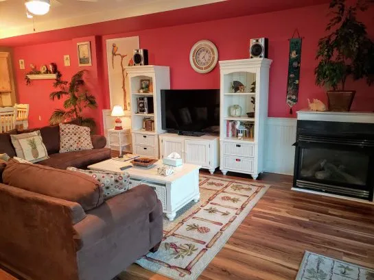 Living Room TV _ 55 inch 