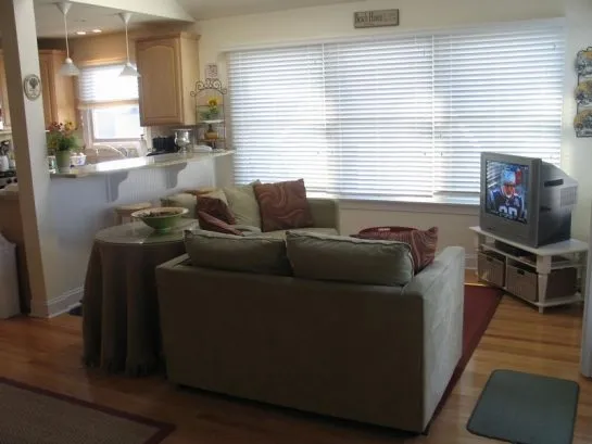 Great Room With New Couches