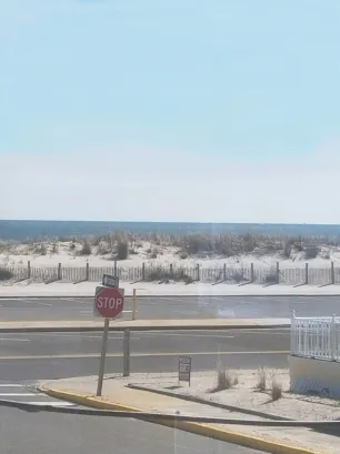 Beach View 