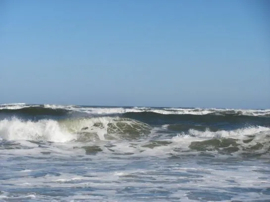 Enjoy The Waves